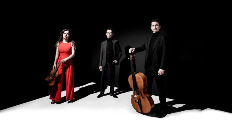 Amatis Trio — muziek in Etten-Leur
