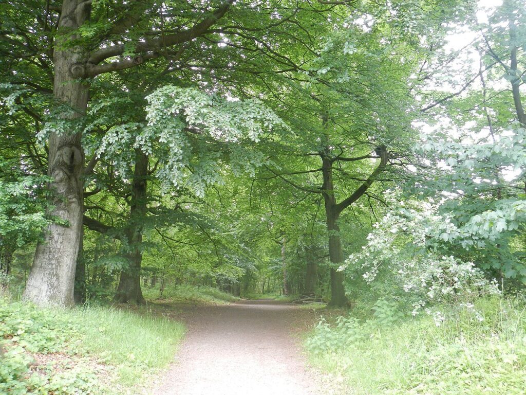 Marie Koet – Eindspel in Etten-Leur