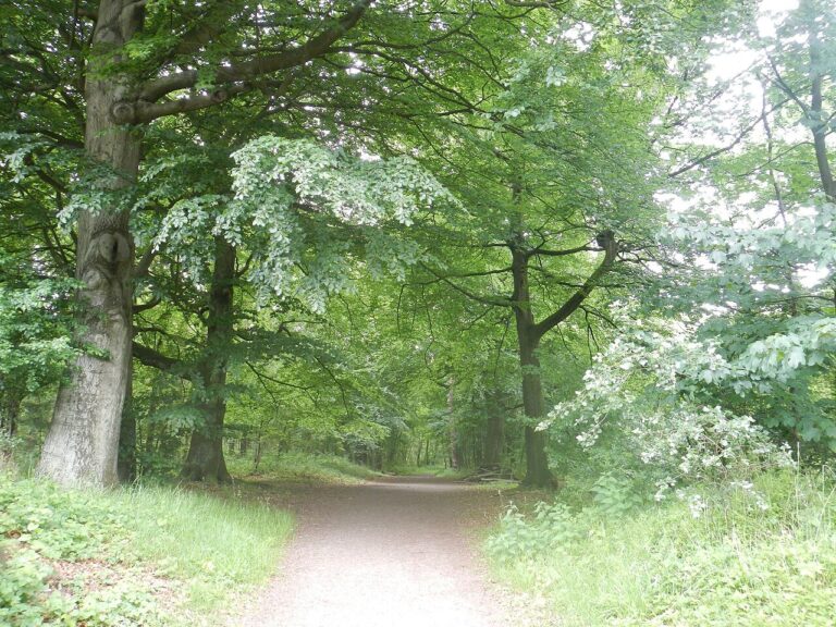 Marie Koet – Eindspel — natuur in Etten-Leur